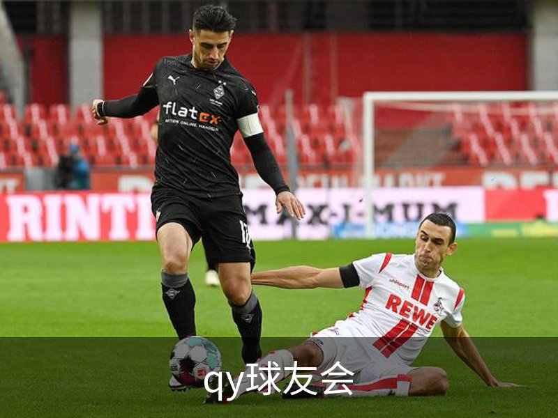 球友会.(QY)官方网站